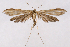 ( - 2011GM-0654)  @14 [ ] Copyright (2011) Gary McDonald Unspecified