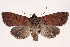  ( - 2011GM-0663)  @14 [ ] Copyright (2011) Gary McDonald Unspecified