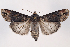  ( - 2011GM-0664)  @14 [ ] Copyright (2011) Gary McDonald Unspecified