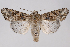  ( - 2011GM-0669)  @14 [ ] Copyright (2011) Gary McDonald Unspecified