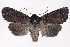  ( - 2011GM-0675)  @14 [ ] Copyright (2011) Gary McDonald Unspecified