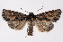  ( - 2011GM-0678)  @14 [ ] Copyright (2011) Gary McDonald Unspecified