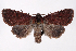  ( - 2011GM-0682)  @14 [ ] Copyright (2011) Gary McDonald Unspecified