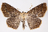  ( - 2011GM-0683)  @15 [ ] Copyright (2011) Gary McDonald Unspecified