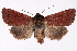  ( - 2011GM-0685)  @15 [ ] Copyright (2011) Gary McDonald Unspecified