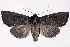  ( - 2011GM-0689)  @14 [ ] Copyright (2011) Gary McDonald Unspecified