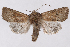  ( - 2011GM-0714)  @14 [ ] Copyright (2011) Gary McDonald Unspecified