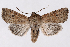  ( - 2011GM-0716)  @14 [ ] Copyright (2011) Gary McDonald Unspecified