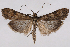  ( - 2011GM-0720)  @13 [ ] Copyright (2011) Gary McDonald Unspecified