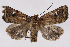  ( - 2011GM-0722)  @14 [ ] Copyright (2011) Gary McDonald Unspecified