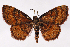  ( - 2011GM-0726)  @14 [ ] Copyright (2011) Gary McDonald Unspecified
