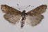  ( - 2011GM-0730)  @14 [ ] Copyright (2011) Gary McDonald Unspecified