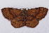  ( - 2011GM-0743)  @13 [ ] Copyright (2011) Gary McDonald Unspecified