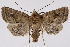  ( - 2011GM-0747)  @14 [ ] Copyright (2011) Gary McDonald Unspecified