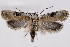  ( - 2011GM-0758)  @14 [ ] Copyright (2011) Gary McDonald Unspecified