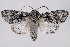  ( - 2011GM-0765)  @14 [ ] Copyright (2011) Gary McDonald Unspecified