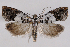  ( - 2011GM-0770)  @14 [ ] Copyright (2011) Gary McDonald Unspecified