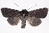  ( - 2011GM-0792)  @14 [ ] Copyright (2011) Gary McDonald Unspecified