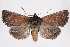  ( - 2011GM-0804)  @14 [ ] Copyright (2011) Gary McDonald Unspecified