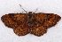  ( - 2011GM-0806)  @13 [ ] Copyright (2011) Gary McDonald Unspecified