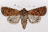  ( - 2011GM-0822)  @14 [ ] Copyright (2011) Gary McDonald Unspecified