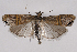  ( - 2011GM-0831)  @14 [ ] Copyright (2011) Gary McDonald Unspecified