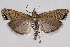  ( - 2011GM-0839)  @14 [ ] Copyright (2011) Gary McDonald Unspecified