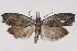  ( - 2011GM-0844)  @14 [ ] Copyright (2011) Gary McDonald Unspecified