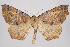  ( - 2011GM-0865)  @14 [ ] Copyright (2011) Gary McDonald Unspecified