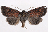  ( - 2011GM-0870)  @14 [ ] Copyright (2011) Gary McDonald Unspecified