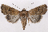  ( - 2011GM-0871)  @14 [ ] Copyright (2011) Gary McDonald Unspecified