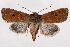  ( - 2011GM-0900)  @14 [ ] Copyright (2011) Gary McDonald Unspecified