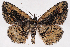  ( - 2011GM-0918)  @14 [ ] Copyright (2011) Gary McDonald Unspecified