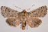  ( - 2011GM-0925)  @14 [ ] Copyright (2011) Gary McDonald Unspecified