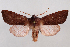  ( - 2011GM-0926)  @14 [ ] Copyright (2011) Gary McDonald Unspecified