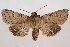  ( - 2011GM-0927)  @14 [ ] Copyright (2011) Gary McDonald Unspecified