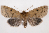  ( - 2011GM-0942)  @14 [ ] Copyright (2011) Gary McDonald Unspecified