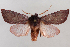  ( - 2011GM-0957)  @14 [ ] Copyright (2011) Gary McDonald Unspecified