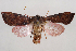  ( - 2011GM-0960)  @13 [ ] Copyright (2011) Gary McDonald Unspecified