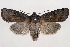  ( - 2011GM-0961)  @14 [ ] Copyright (2011) Gary McDonald Unspecified