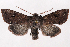  ( - 2011GM-0964)  @14 [ ] Copyright (2011) Gary McDonald Unspecified