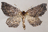  ( - 2012GM-0144)  @14 [ ] CreativeCommons - Attribution Non-Commercial Share-Alike (2012) Gary McDonald Unspecified