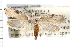  ( - 2008GM-0209)  @13 [ ] CreativeCommons - Attribution (2009) Unspecified Centre for Biodiversity Genomics