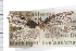  ( - 2008GM-0219)  @12 [ ] CreativeCommons - Attribution (2009) Unspecified Centre for Biodiversity Genomics