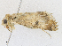  ( - CBG-A16698-B02)  @11 [ ] CreativeCommons - Attribution Share-Alike (2023) CBG Photography Group Centre for Biodiversity Genomics