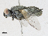  ( - CBG-A16698-E02)  @11 [ ] CreativeCommons - Attribution Share-Alike (2023) CBG Photography Group Centre for Biodiversity Genomics