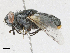  ( - CBG-A16698-E05)  @11 [ ] CreativeCommons - Attribution Share-Alike (2023) CBG Photography Group Centre for Biodiversity Genomics