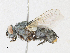 ( - CBG-A16698-F11)  @11 [ ] CreativeCommons - Attribution Share-Alike (2023) CBG Photography Group Centre for Biodiversity Genomics