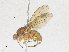  ( - CBG-A07043-E05)  @11 [ ] CreativeCommons - Attribution Share-Alike (2023) CBG Photography Group Centre for Biodiversity Genomics