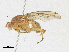  ( - CBG-A16699-C09)  @11 [ ] CreativeCommons - Attribution Share-Alike (2023) CBG Photography Group Centre for Biodiversity Genomics